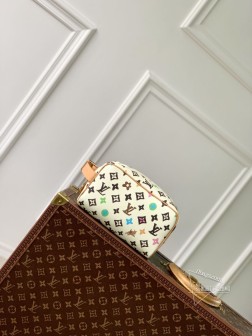 LV M47069 Monogram Craggy 帆布白花,Tyler设计