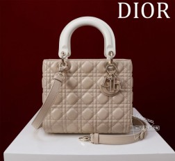DIOR Lady戴妃五格 珐琅扣拼色羊皮 内里：羊绒+皮Size 242011cm