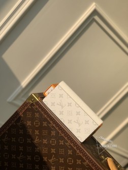 LV M30889 Taga 皮革 Monogram Eclipse 帆布环绕式拉链包