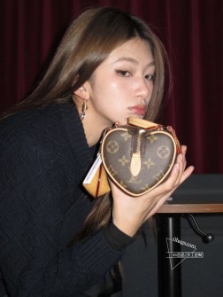 Louis Vuitton LV 爱心包